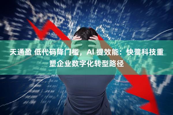 天通盈 低代码降门槛，AI 提效能：快鹭科技重塑企业数字化转型路径