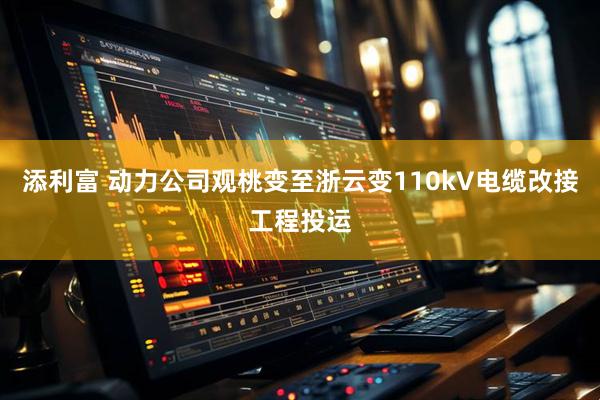 添利富 动力公司观桃变至浙云变110kV电缆改接工程投运